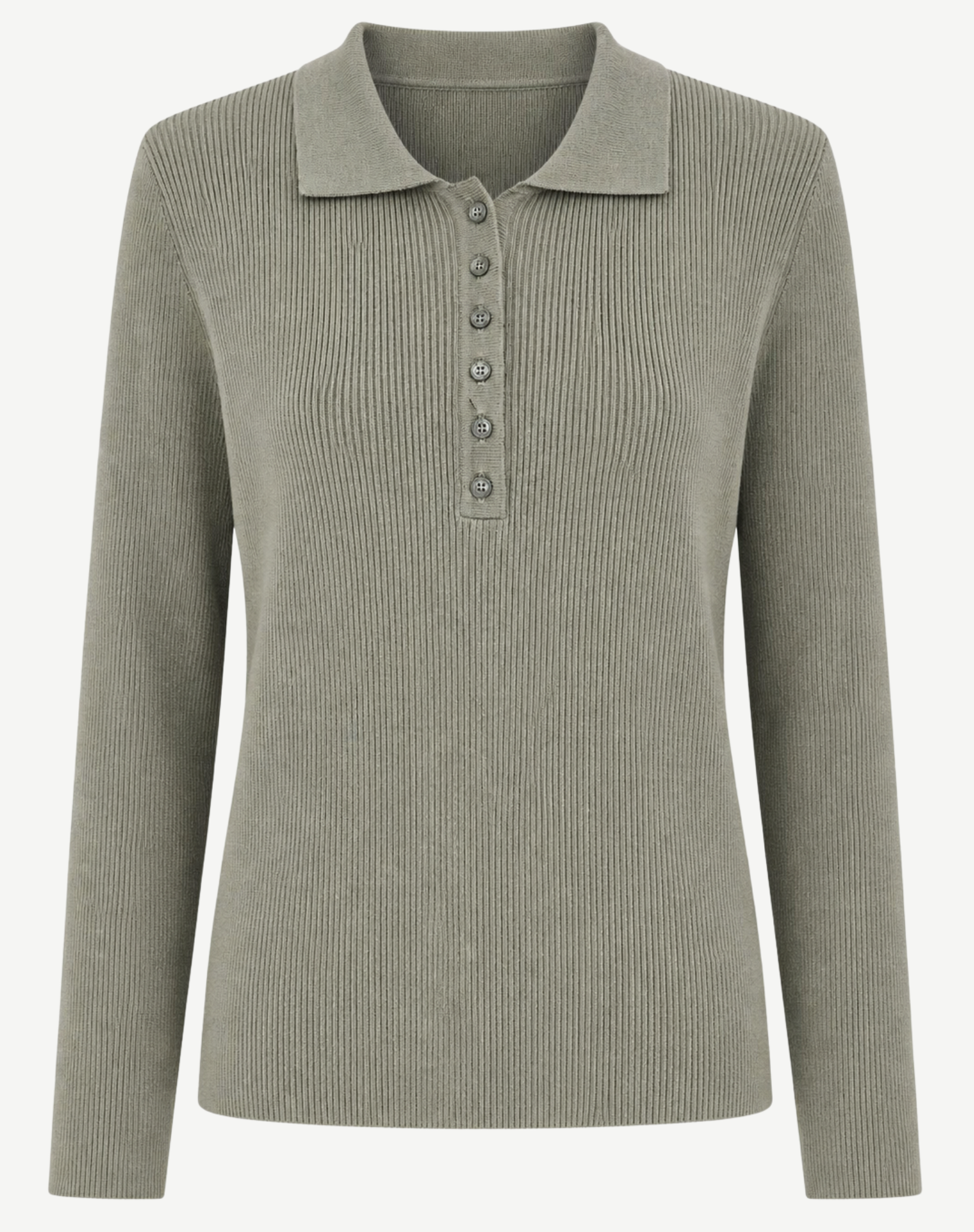 W2449230 TARRAGON PLAIN JERSEY KNIT Corfu Jeans